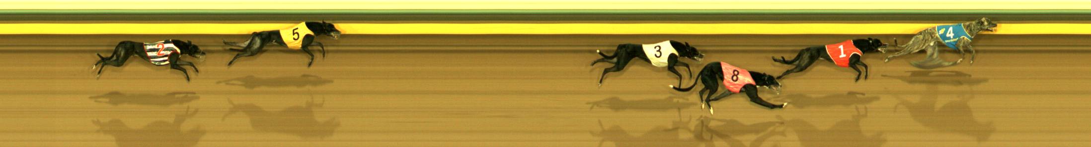 Race result finish photo